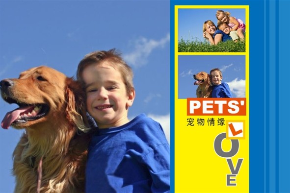 Others photo templates Pet Love